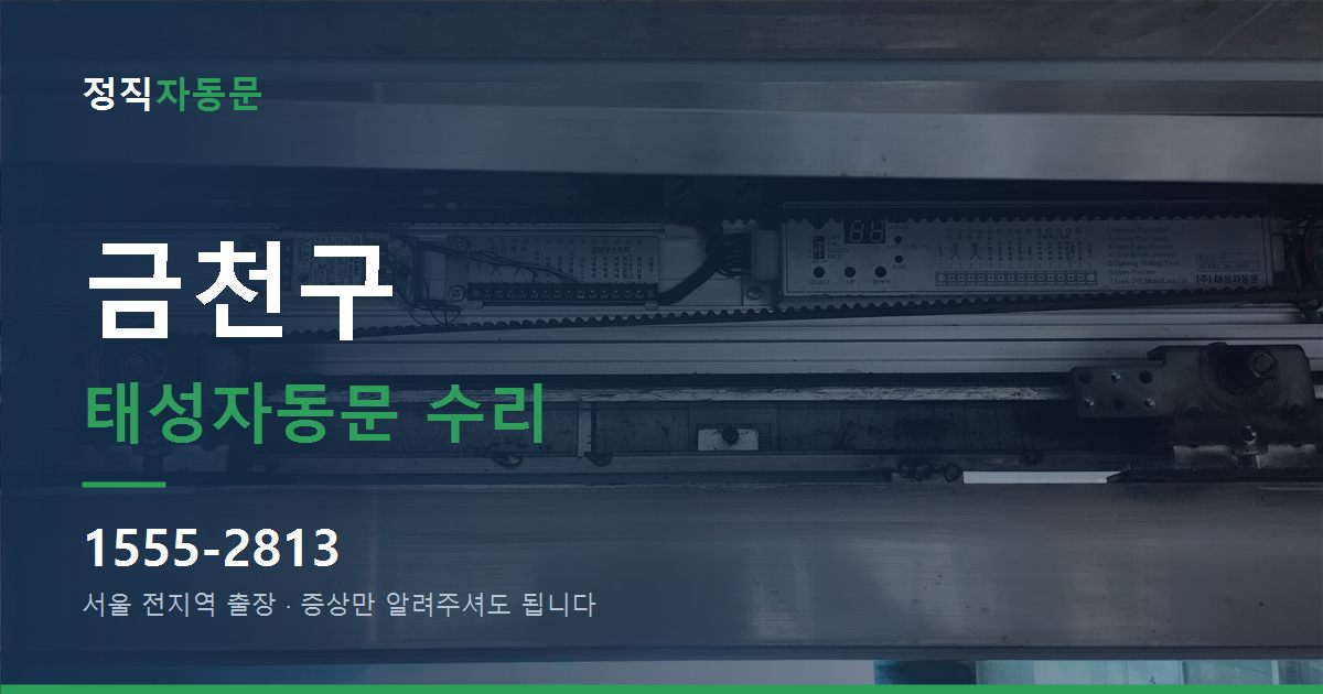 금천구 태성자동문 수리
