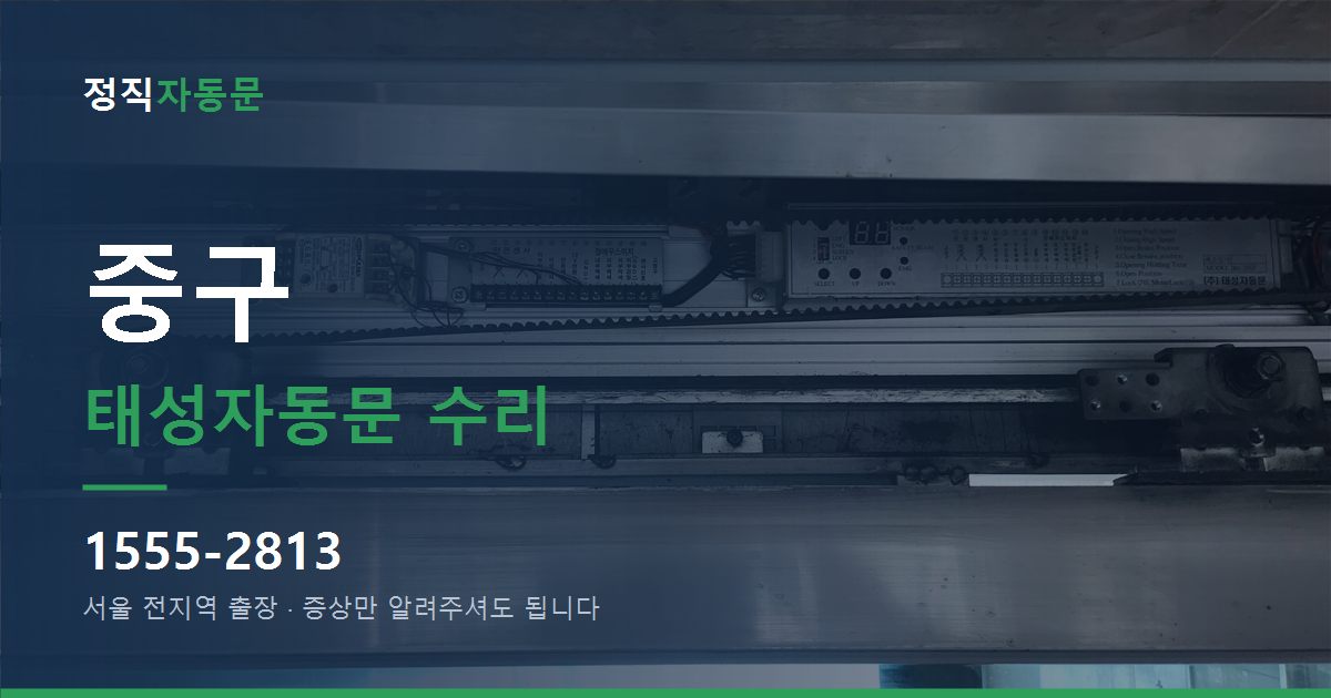 중구 태성자동문 수리