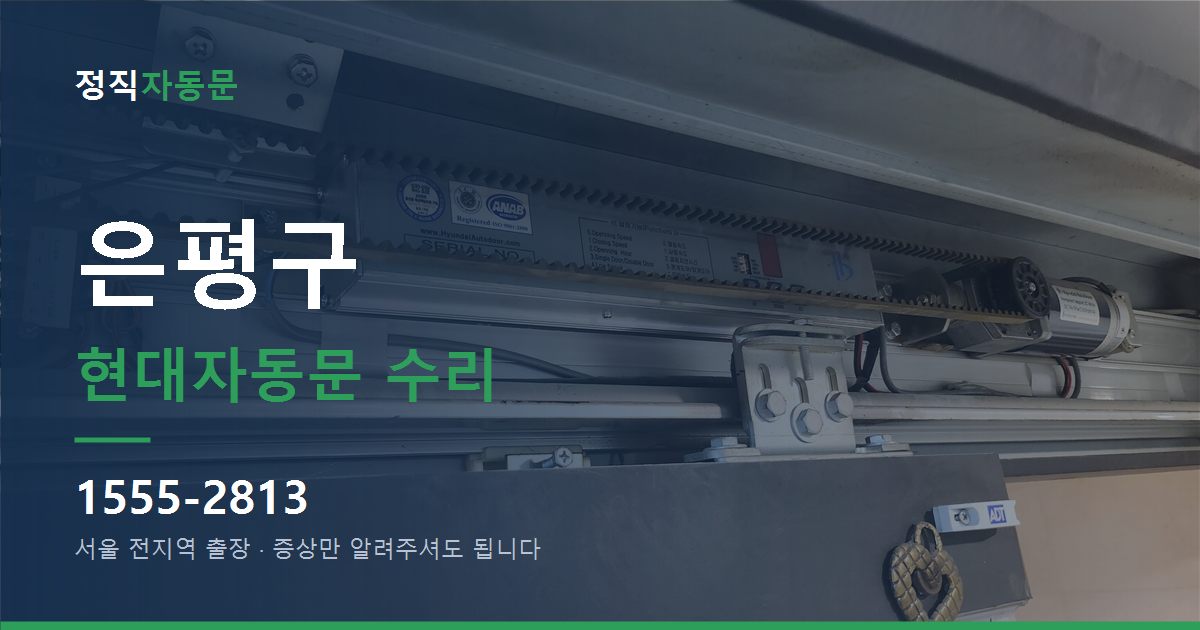 은평구 현대자동문 수리